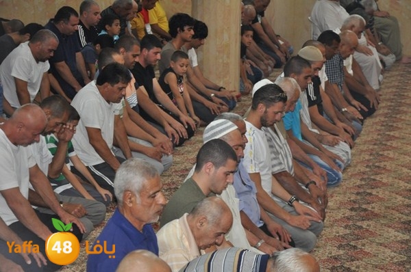 msajed amer qder 804 (6).JPG